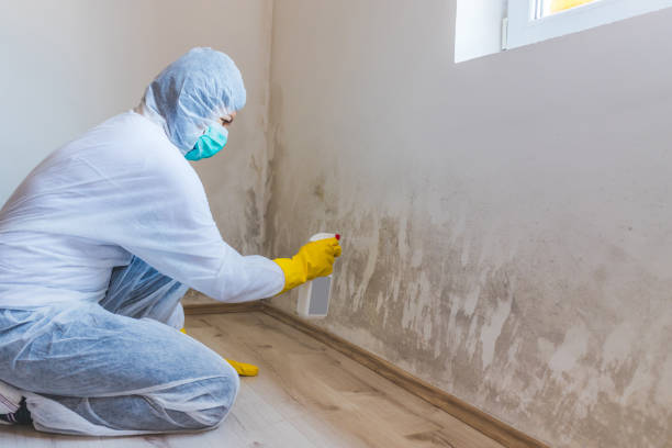 Licensed Mold Inspection service in Highland Park, PA - WQB Mold Removal